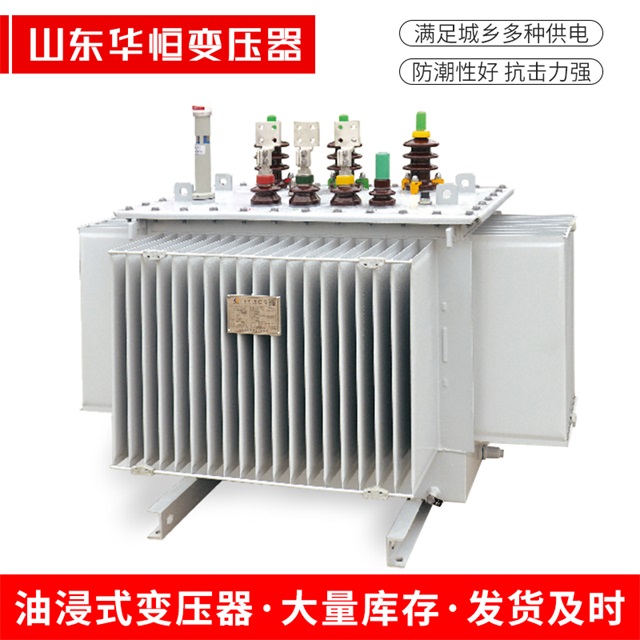 S13-10000/35义县义县义县电力变压器